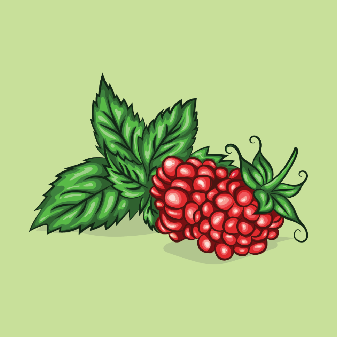 Mints Normal Lemkon Raspberry Raspberry Mint – Buttermints